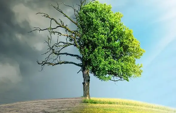 Kompresori zraka vijčani i klipni